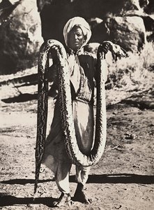 "بناء إمبراطورية" في العصر الفاشي: إنديجين مع ثعبان ، 09/05/1936 (b / w photo) بواسطة موديستينو بالدينيتي