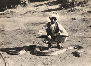 "بناء إمبراطورية" في العصر الفاشي: إنديجين مع ثعبان ، 09/05/1936 (b / w photo) بواسطة موديستينو بالدينيتي