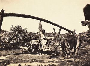 "بناء إمبراطورية" في العصر الفاشي: نوريا الأصلية ، 09/05/1936 (b / w photo) بواسطة موديستينو بالدينيتي