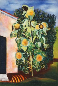 عباد الشمس؛ ليه تورنسولس بواسطة مويس كيسلينج