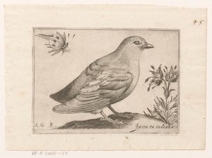 فوجل باسرا إنديانا (العنوان على الكائن) Vogels (عنوان المسلسل)
