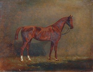 صورة لركوب الخيل بواسطة مونوجراميست AG