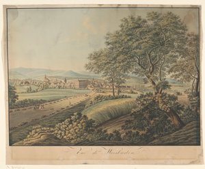منظر فيسبادن Vue de Wiesbaden (العنوان على الكائن) بواسطة Monogrammist DS (حفارة)