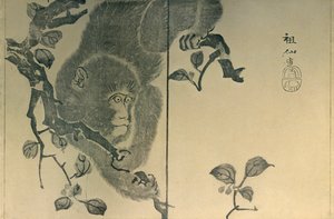 قرد ، 1815 ، 1924. بواسطة موري سوسن