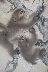  بواسطة موري سوسن