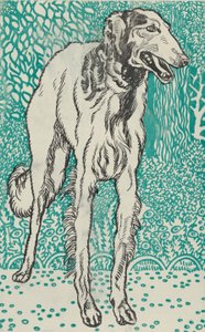 السلوقي ، 1912. بواسطة موريتز جونغ