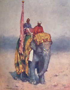 "فيل من المخلفات الرملية في راجبوتانا" ، 1903 بواسطة مورتيمر لودينجتون مينبيس