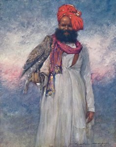 صقر راججار ، 1903 بواسطة مورتيمر لودينجتون مينبس