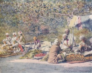سوق الخضار ، بيشاور ، 1905 بواسطة مورتيمر لودينجتون مينبس