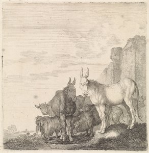 الحمير على الحائط الحيوانات ذات الأرجل الأربعة (عنوان السلسلة) بواسطة Moyses van Wtenbrouck