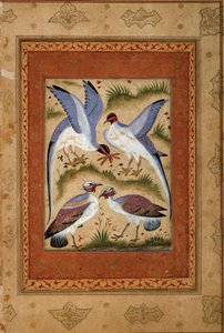 طيور. جواش مصغر من مدرسة موغول. 1590-1600. باريس ، متحف Guimet ، المتحف الوطني للفنون الآسيوية