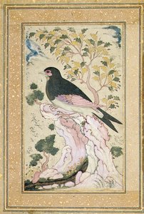 طائر يجلس على الصخر ، 1684