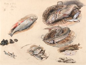 دراسة الأسماك ، البندقية بواسطة Myles Birket Foster