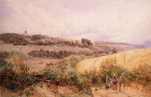 المناظر الطبيعية الصيفية بالقرب من Haslemere ، ساري بواسطة مايلز بيركت فوستر