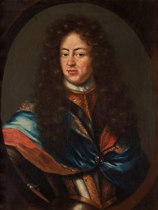 صورة تشارلز الحادي عشر ملك السويد 1655-1697 بواسطة ميتين