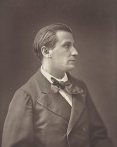 فرانسوا كوبي شاعر وروائي فرنسي ، 1842-1908 ، ج. 1876. بواسطة نادار