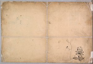 اثنان من الفيلة يقاتلون في فناء قبل محمد شاه ، ج. 1730-40. بواسطة Nainsukh