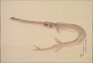 Needlefish (دائما) بواسطة ناكاجيما ريشو