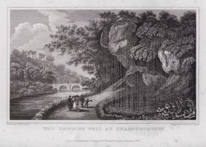The Dropping Well at Knaresborough (engraving) بواسطة ناثانيال (بعد) ويتوك