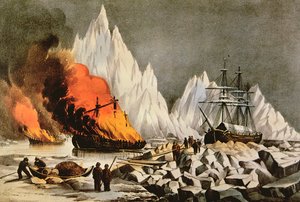 "حرق الحطام لتجنب الخطر على السفن الأخرى" ، من The American Whale Fishery