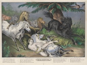 Mazeppa: اللوحة 3 من مجموعة من (4) أطباق (محاطة بالخيول البرية)