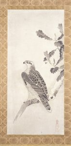 صقر جاثم على فرع (حبر على ورق) بواسطة Nichokuan Soga