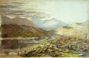 بحيرة بوكاكي ، نيوزيلندا ، 1872