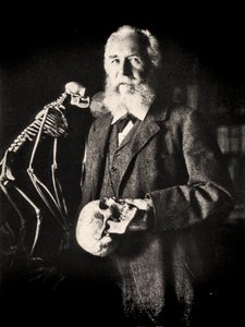 صورة شخصية لإرنست هيجل بجوار الهيكل العظمي لقرد ، حوالي 1860 (صورة)