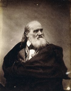 لويس كوسوث ، 4 نوفمبر 1851 ، 1851 بواسطة نيكولاس هينمان
