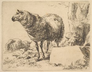 من The Set of Sheep. بواسطة نقولاس بيرشم