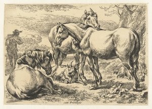 ثلاثة خيول الحيوانات (عنوان السلسلة)