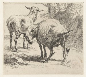 Pissende ooi en een schaap شابين (عنوان المسلسل) الحيوانات تنجذب إلى الحياة وتُطبع بالماء للحصول على هواء قوي بواسطة Studio and Art of Nicolai Berchem (عنوان السلسلة) بواسطة نيكولاي بيترز بيرتشيم