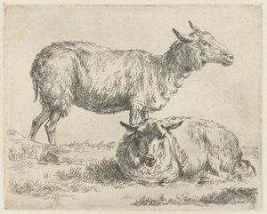 Staand en liggend schaap شابين (عنوان المسلسل) الحيوانات تنجذب إلى الحياة وتُطبع بالماء للحصول على هواء قوي بواسطة Studio and Art of Nicolai Berchem (عنوان السلسلة) بواسطة نيكولاي بيترز بيرتشيم
