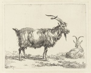 Twee geiten Geiten (عنوان السلسلة) حيوانات مرسومة بالحياة ومطبوعة بالماء القوي في الاستوديو وفن نيكولاي بيرتشيم (عنوان السلسلة)