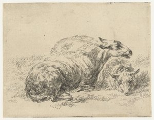 twee ligende schapen شابين (عنوان المسلسل) الحيوانات تنجذب إلى الحياة وتُطبع بالماء للحصول على هواء قوي بواسطة Studio and Art of Nicolai Berchem (عنوان السلسلة)