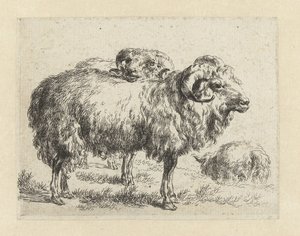 Twee rammen en een schaap شابين (عنوان المسلسل) الحيوانات تنجذب إلى الحياة وتُطبع بالماء للحصول على هواء قوي بواسطة Studio and Art of Nicolai Berchem (عنوان السلسلة) بواسطة نيكولاي بيترز بيرتشيم