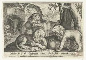 أسود Animalivm Qvadrvpedvm (عنوان المسلسل) الحيوانات في المناظر الطبيعية (عنوان السلسلة) بواسطة نيكولايس دي بروين