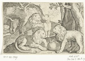 أسود Animalivm Qvadrvpedvm (عنوان المسلسل) الحيوانات في المناظر الطبيعية (عنوان السلسلة) بواسطة نيكولايس دي بروين