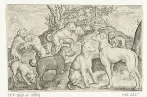 تسعة كلاب Animalivm Qvadrvpedvm (عنوان المسلسل) الحيوانات في المناظر الطبيعية (عنوان السلسلة) بواسطة كلايس جانز. فيشر (الثاني)