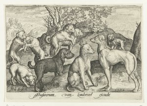 تسعة كلاب Animalivm Qvadrvpedvm (عنوان المسلسل) الحيوانات في المناظر الطبيعية (عنوان السلسلة) بواسطة نيكولايس دي بروين