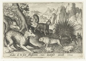الخنزير البري والثعالب والقندس والنيص والضفادع Animalivm Qvadrvpedvm (عنوان المسلسل) الحيوانات في المناظر الطبيعية (عنوان السلسلة)