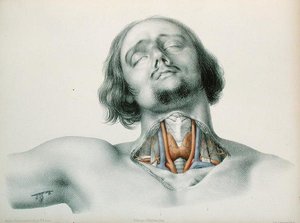 مقطع عرضي للحلق ، من "Anomalies Arterielles" بقلم جان بابتيست ليون دوبروي