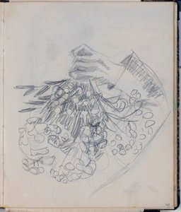 ذراع HC Andersen الأيمن. رسم تخطيطي لـ "Meadow by Nysø" (Odense) بواسطة نيلز لارسن ستيفنز