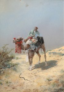 في الصحراء