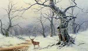 صورة غير معروفة
