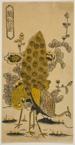Hollyhocks و Peacocks (Aoi ni kujaku)