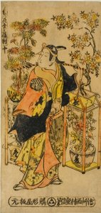 الباعة المتجول لزهور الفصول الأربعة - مجموعة من ثلاثة (Shiki no hanauri sanpukutsui)