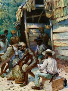 تاجر جزيرة جنوب البحر وأكياسه من المكسرات العاجية ، 1908 بواسطة نورمان هاردي