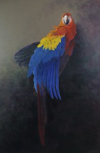 الببغاء القرمزي 3، 2014 (أكريليك على كتان)