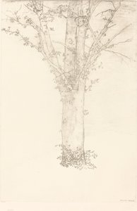شجرة بواسطة Odilon Redon